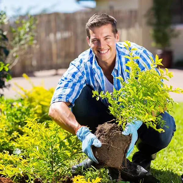 🔥Limited Sale - BUY 1 GET 1 FREE🔥Soil Improvement Loosening Agent