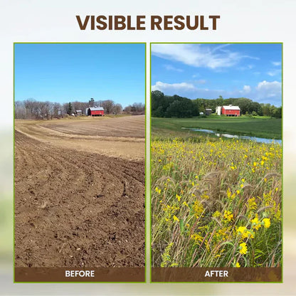 🔥Limited Sale - BUY 1 GET 1 FREE🔥Soil Improvement Loosening Agent